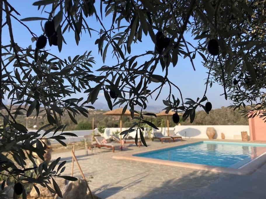 Villa Louloudia Stylish Luxury Villa With Private Pool Pitsidia Buitenkant foto
