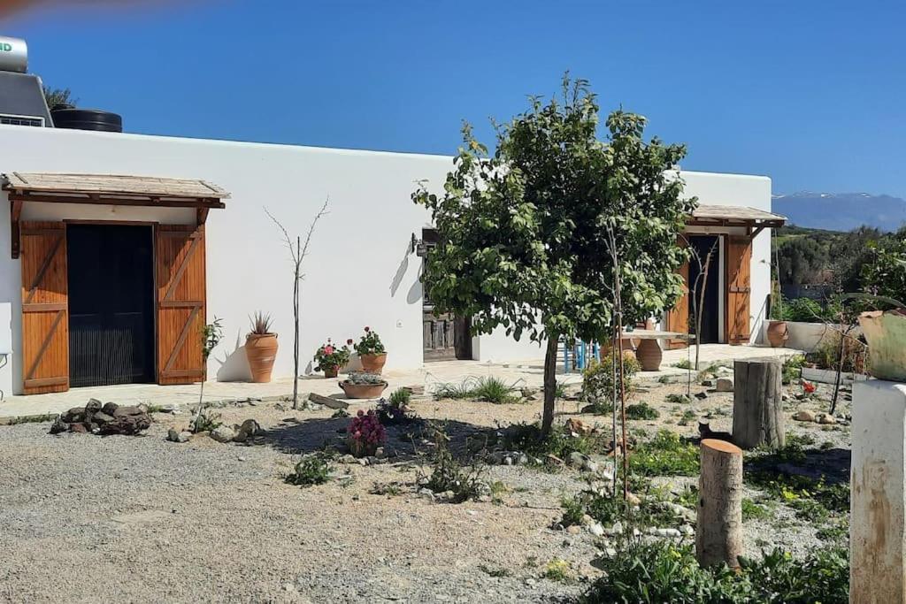 Villa Louloudia Stylish Luxury Villa With Private Pool Pitsidia Buitenkant foto