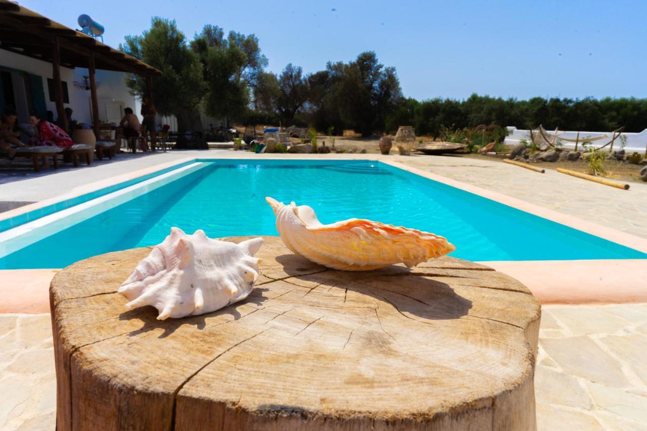 Villa Louloudia Stylish Luxury Villa With Private Pool Pitsidia Buitenkant foto